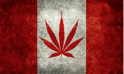 Kanada рік після легалізації.