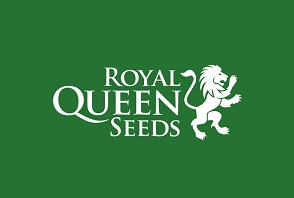 Royal Queen Seeds виробник насіння марихуани світового класу